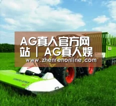 关于AG真人官网