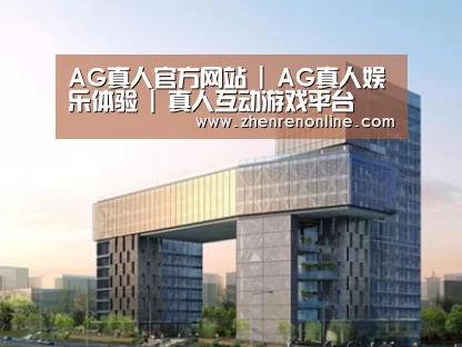 案例展示四