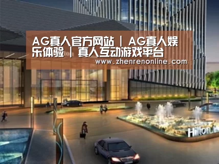 案例展示二