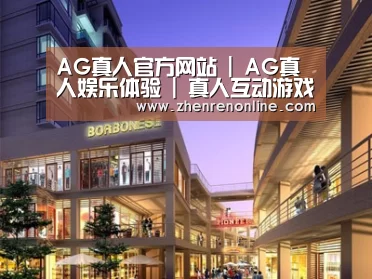案例展示一