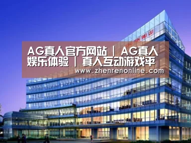 案例展示五