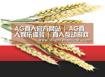 AG真人官方网站 | AG真人娱乐体验 | 真人互动游戏平台