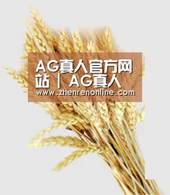 AG真人官方网站 | AG真人娱乐体验 | 真人互动游戏平台