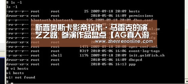 新晋奥斯卡影帝拉米·马雷克的演艺之路 参演作品盘点【AG真人游戏平台】(图4) AG真人游戏平台