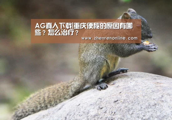 AG真人下载