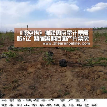 《悟空传》蝉联周冠累计票房破6亿 暂居暑期档国产片票房冠军:AG真人官网(图3) AG真人官网