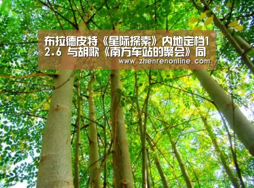 布拉德皮特《星际探索》内地定档12.6 与胡歌《南方车站的聚会》同日上映|AG真人游戏平台(图1) AG真人游戏平台