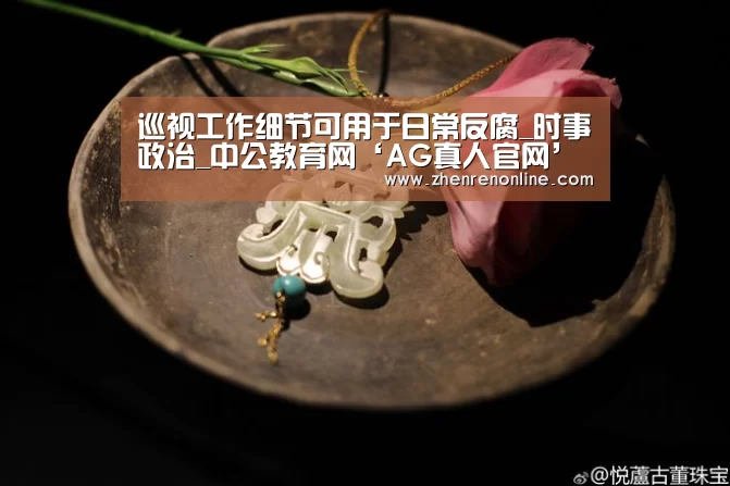 巡视工作细节可用于日常反腐_时事政治_中公教育网‘AG真人官网’(图1) AG真人娱乐